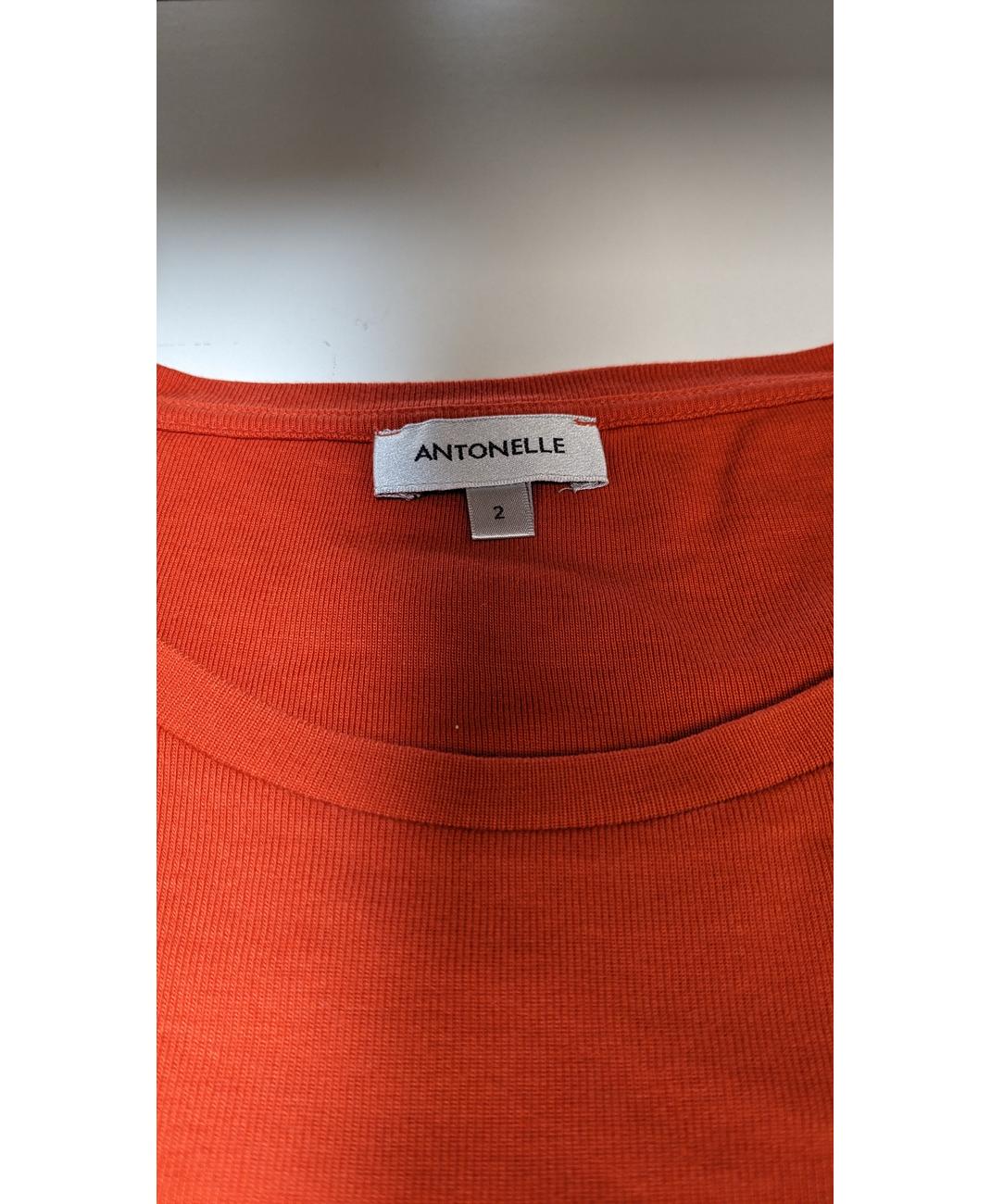 ANTONELLE - Image 7