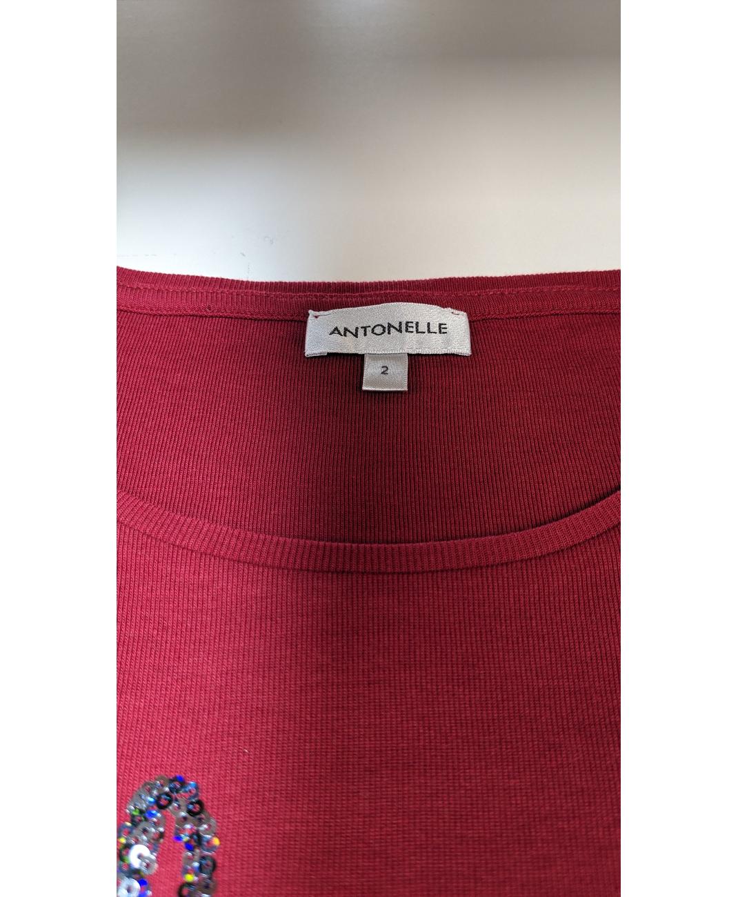 ANTONELLE - Image 6