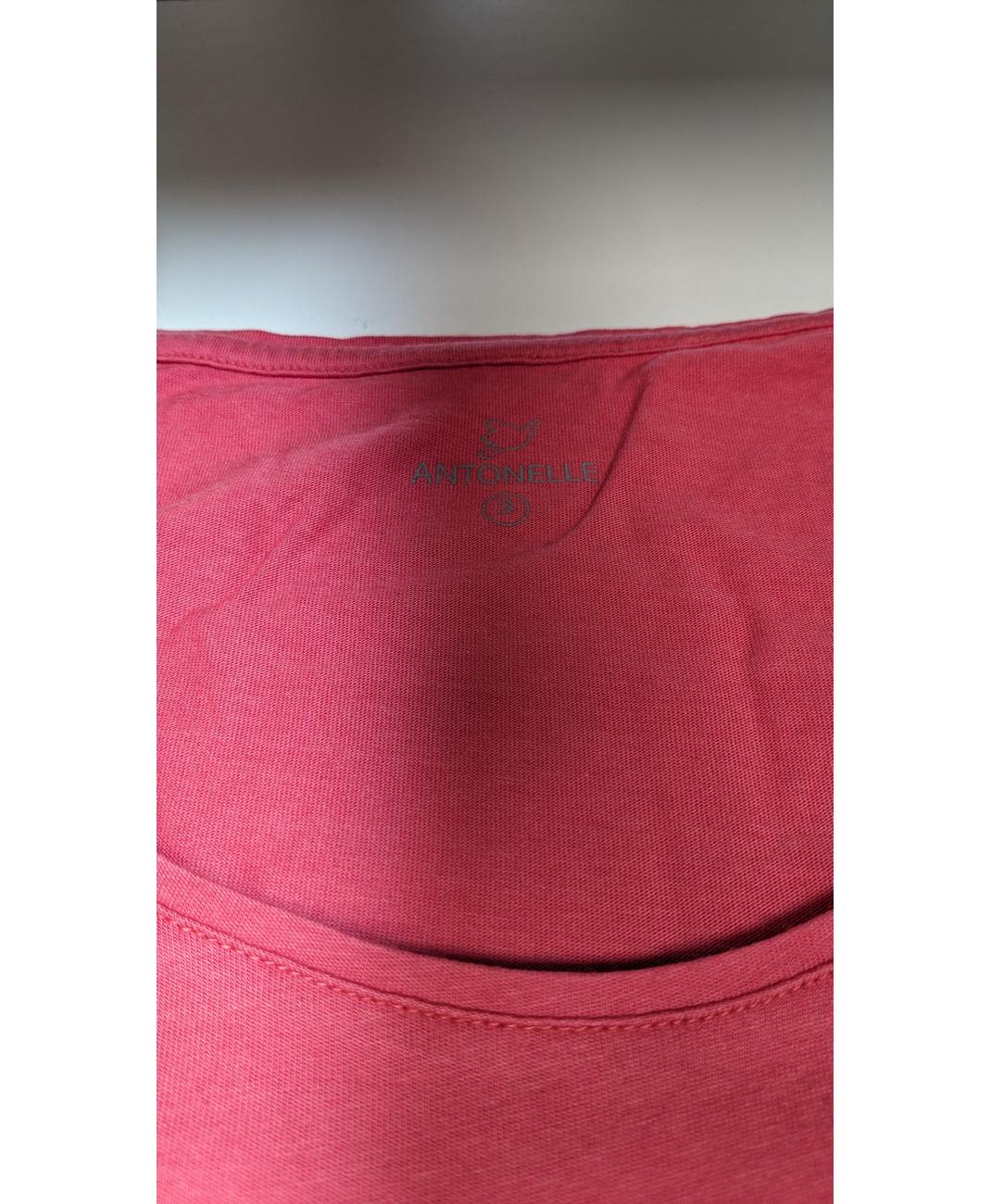 ANTONELLE - Image 7