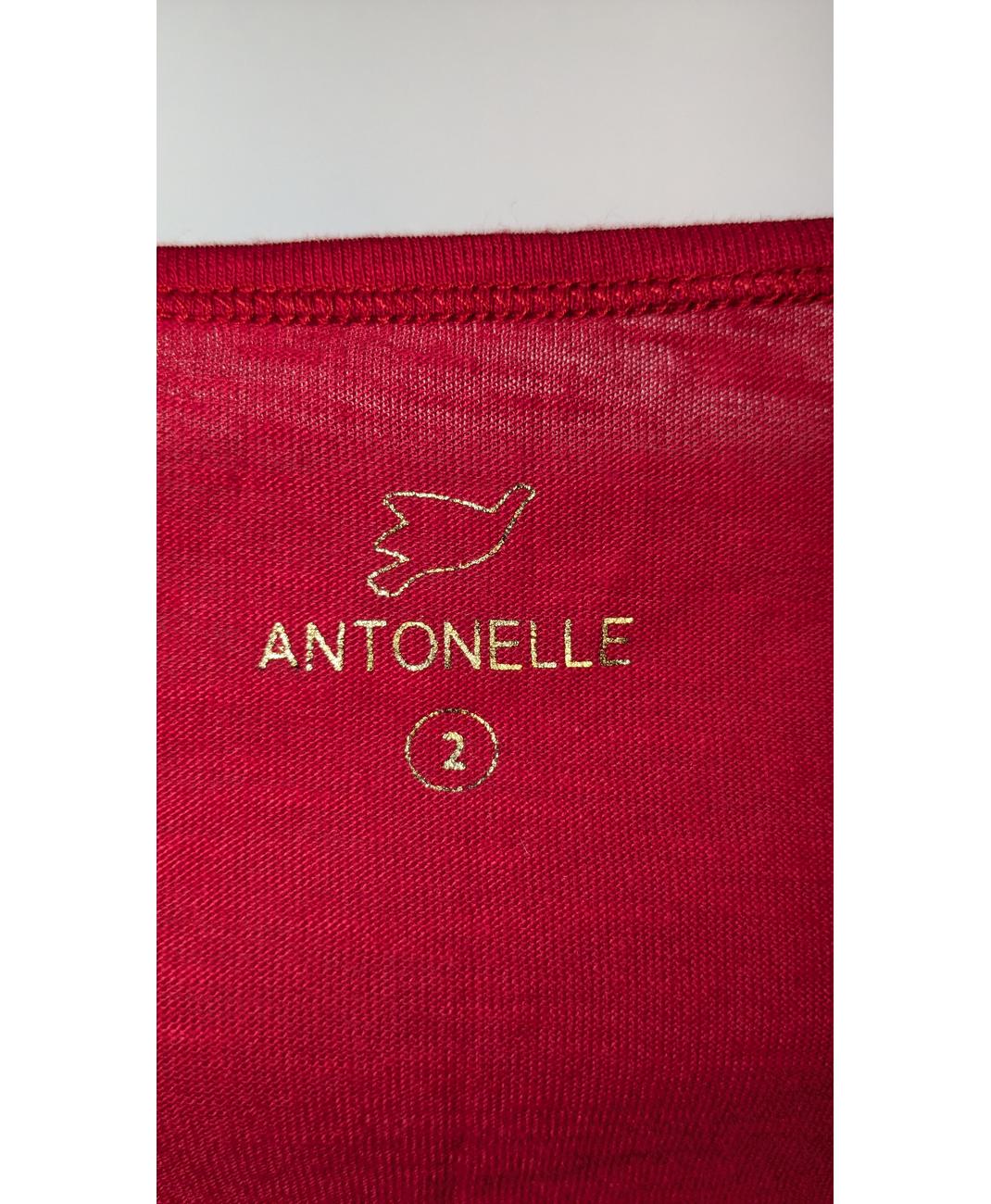 ANTONELLE - Image 5