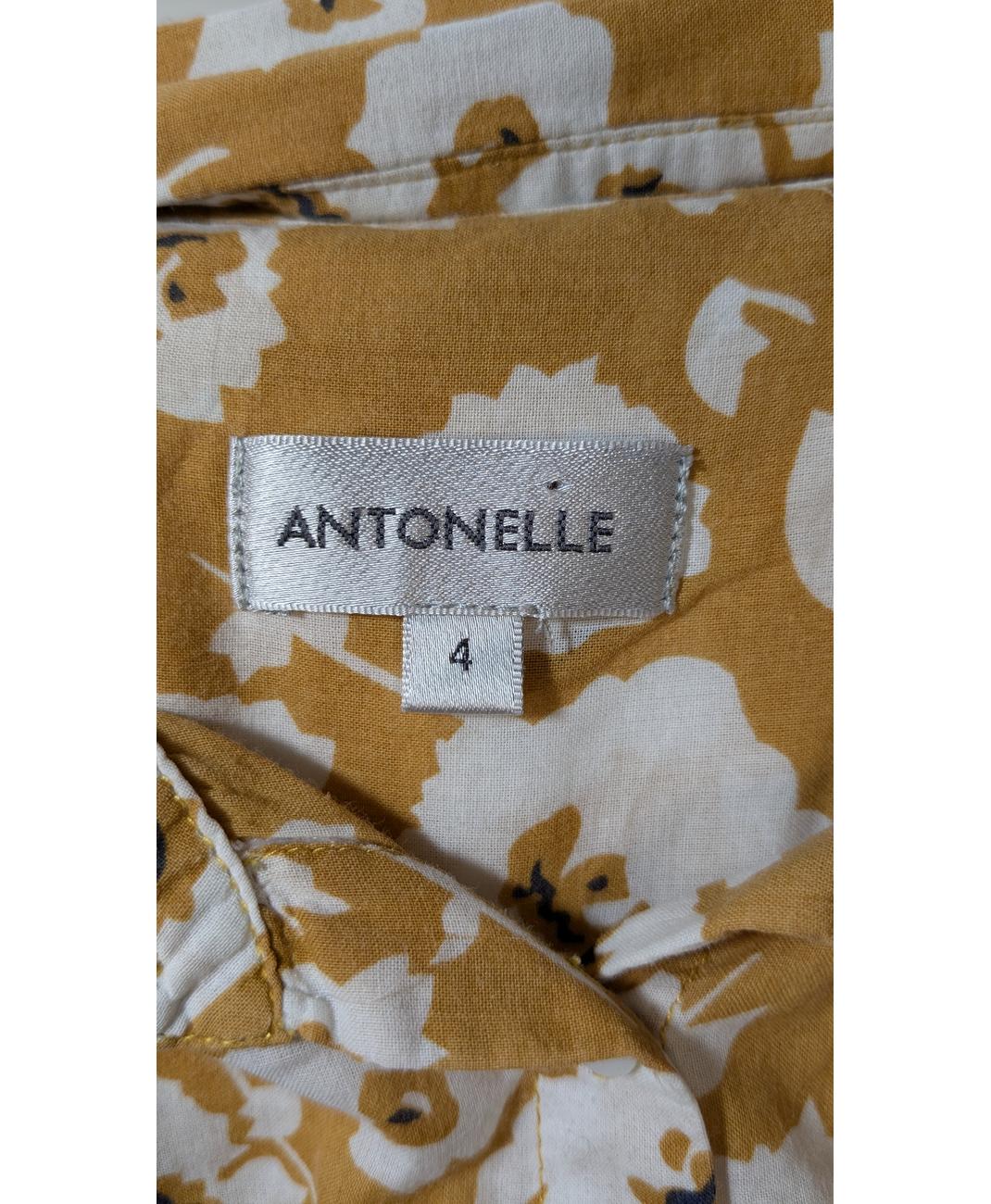 ANTONELLE - Image 6