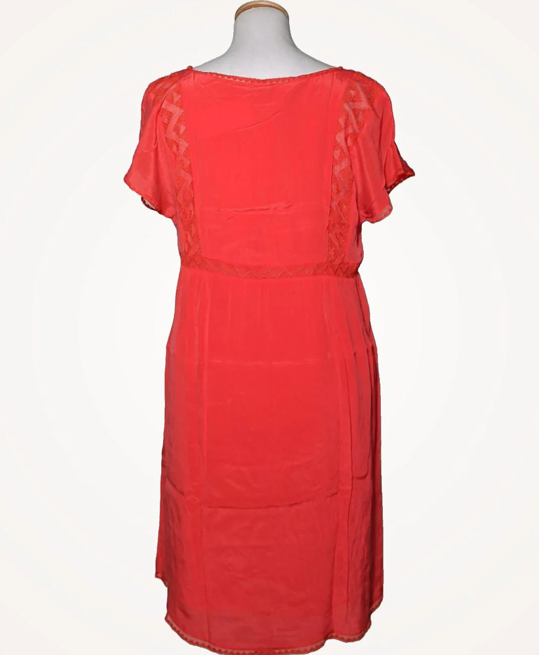 BERENICE - Image 4