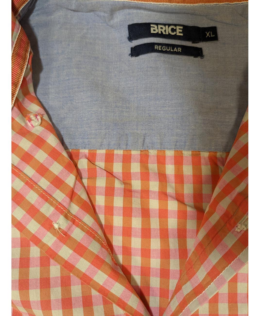 BRICE - Image 5
