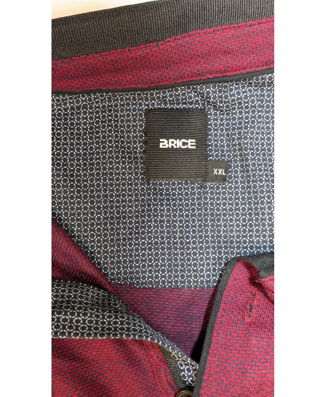 BRICE - Image 5