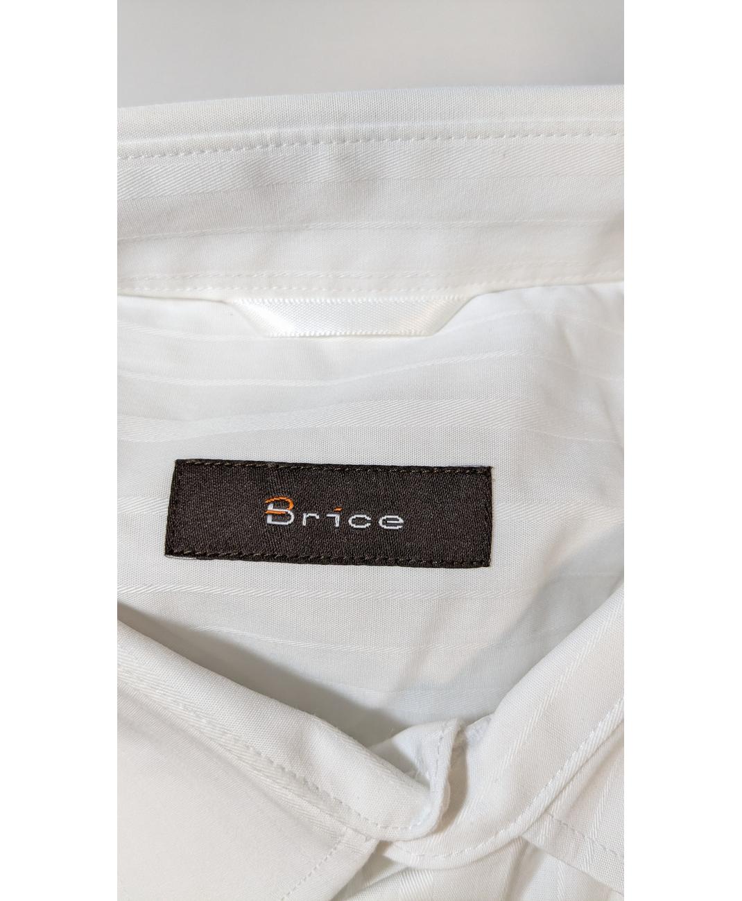 BRICE - Image 5