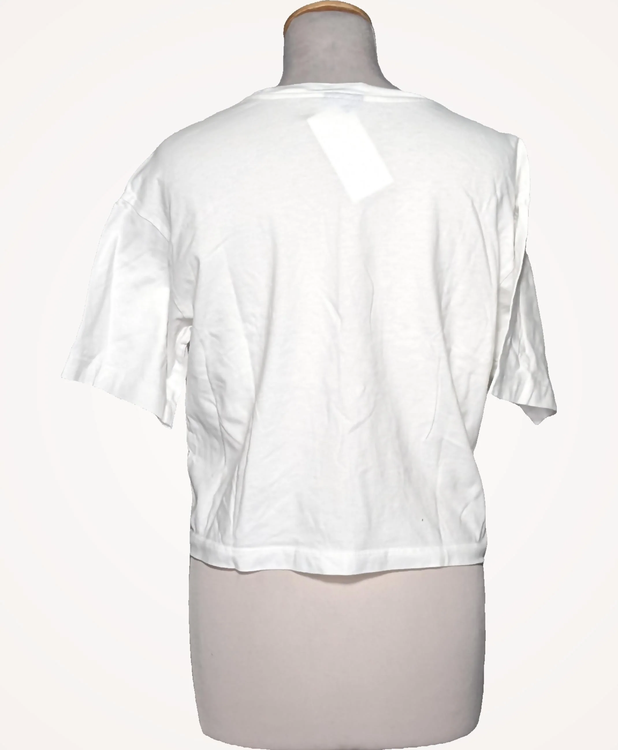 CHAMPION - Image 4