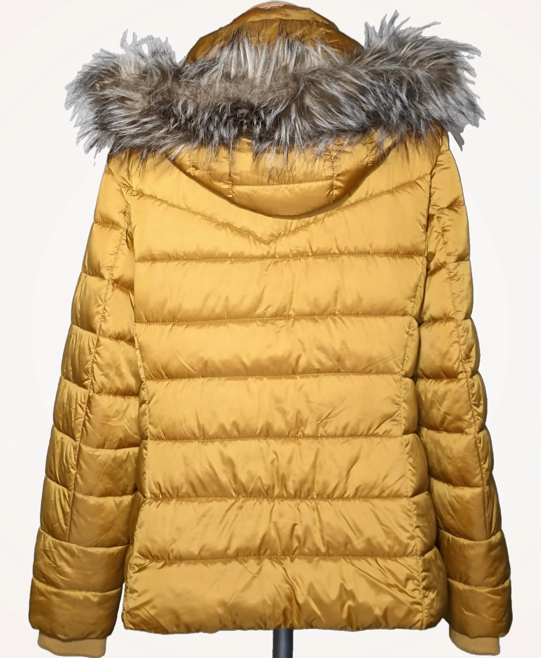 ESPRIT - Image 4