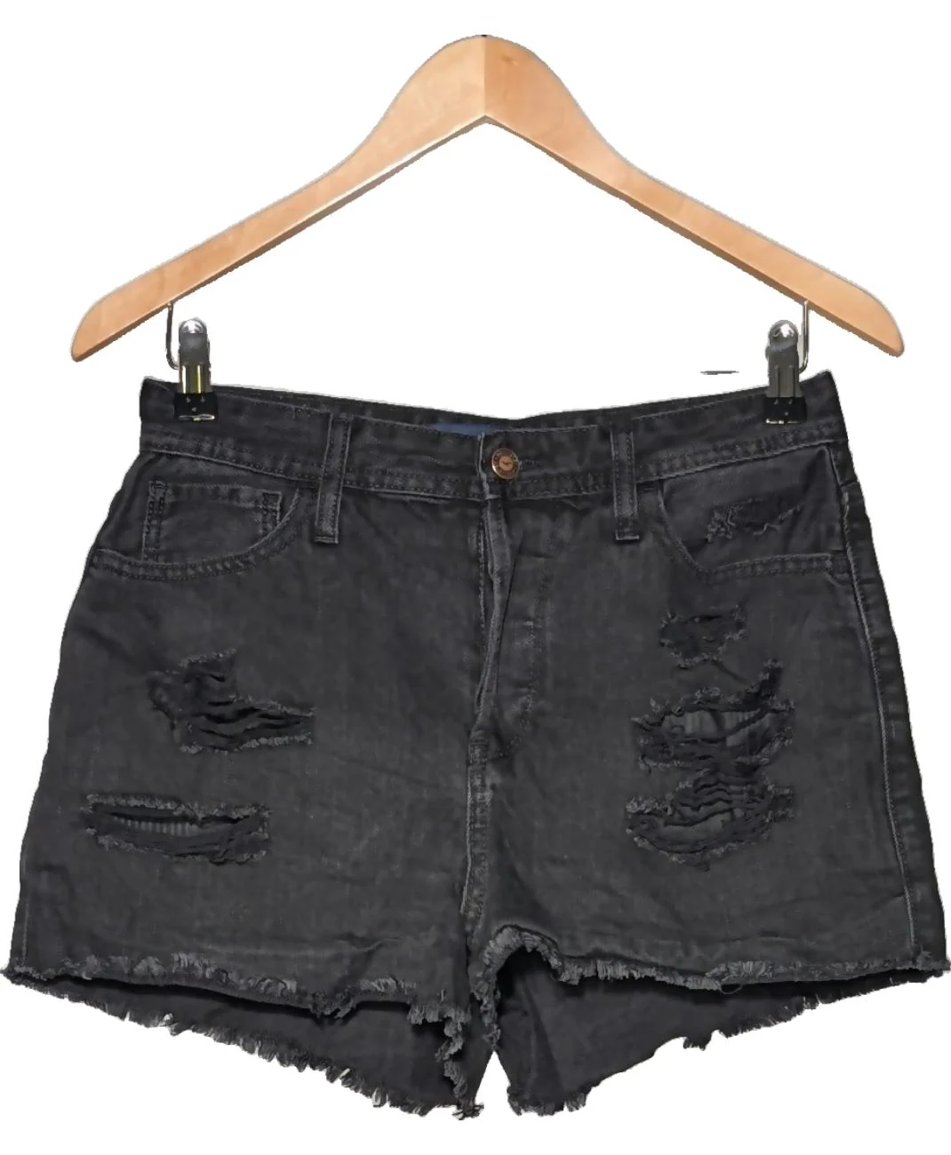 HOLLISTER