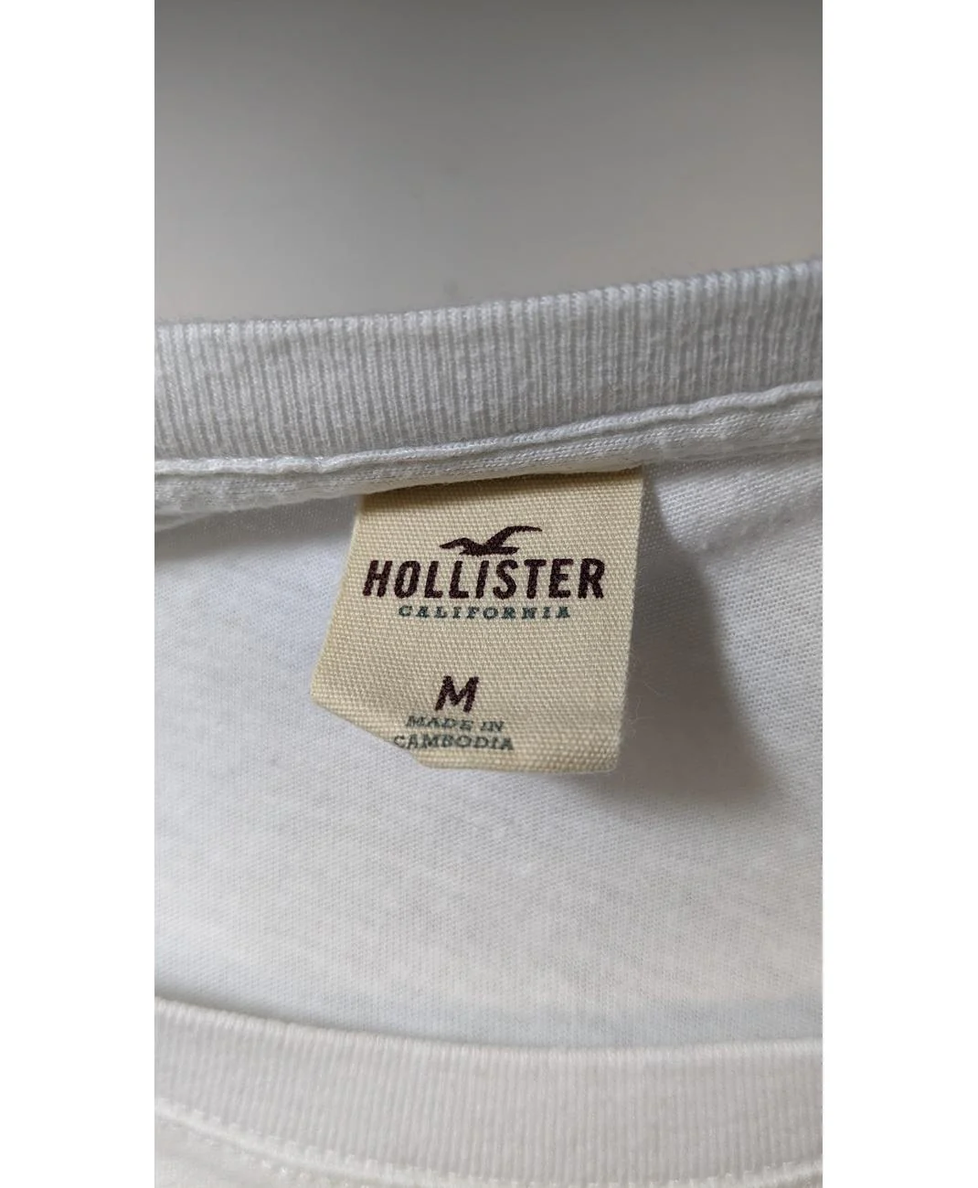 HOLLISTER - Image 7