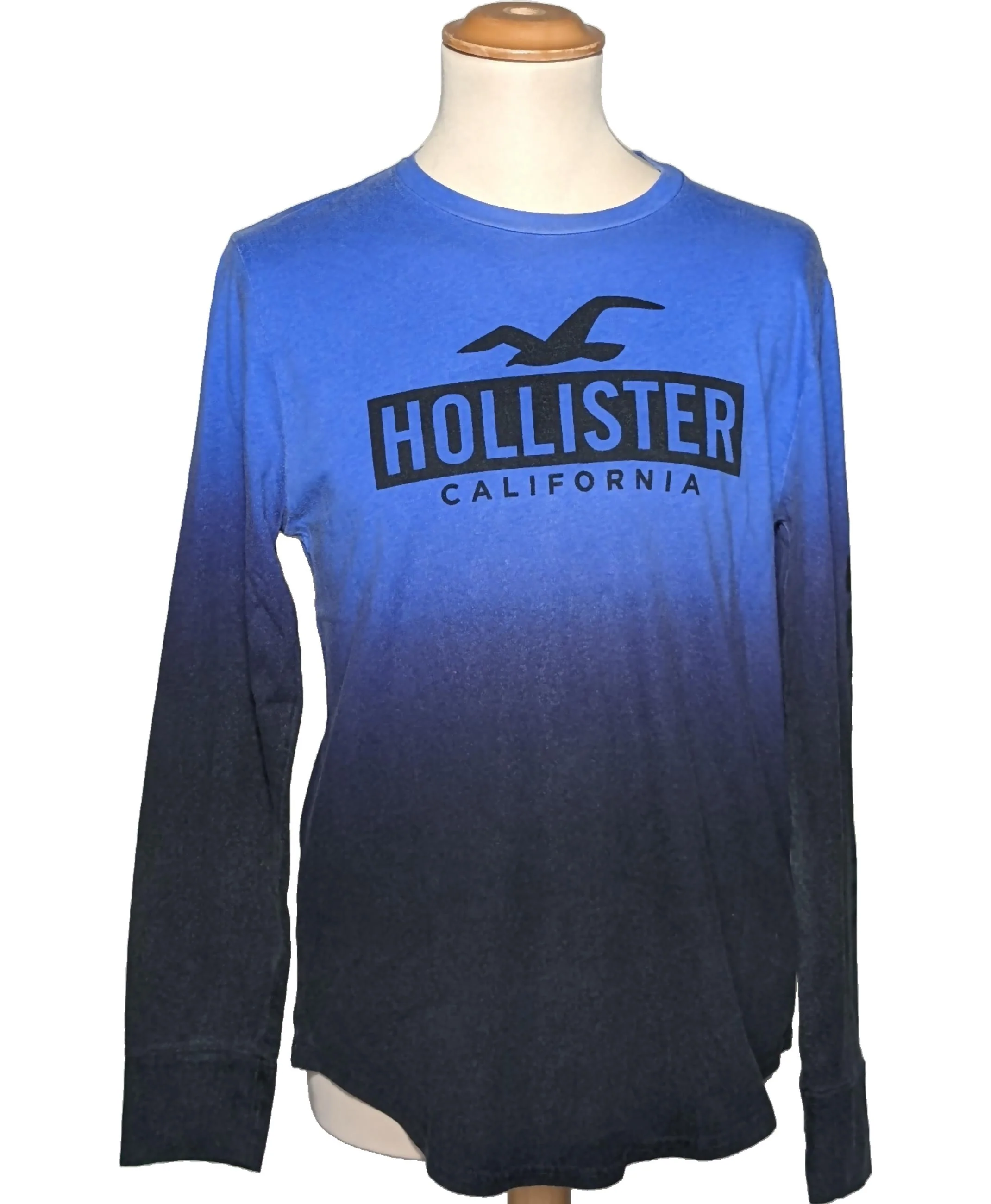 HOLLISTER