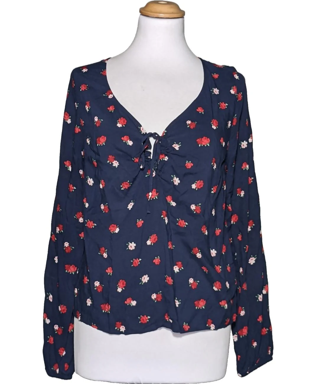 HOLLISTER