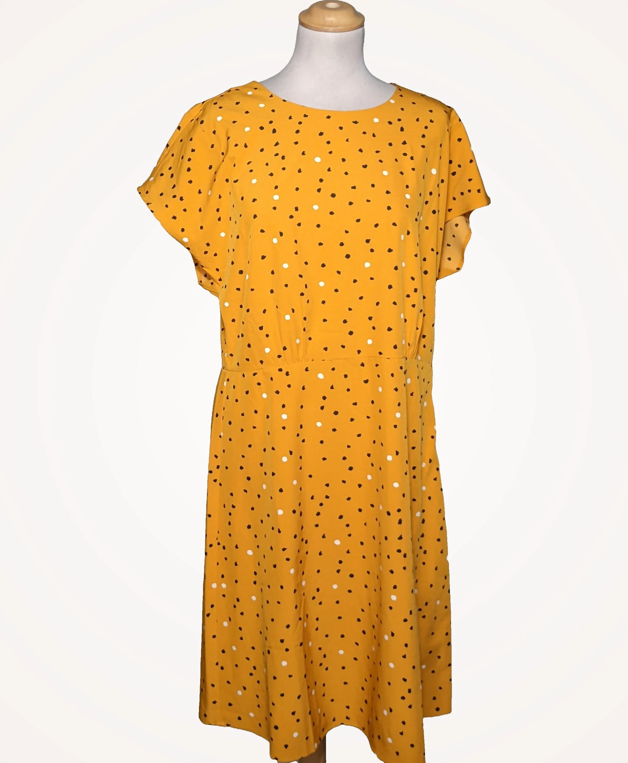 MANGO - Image 3
