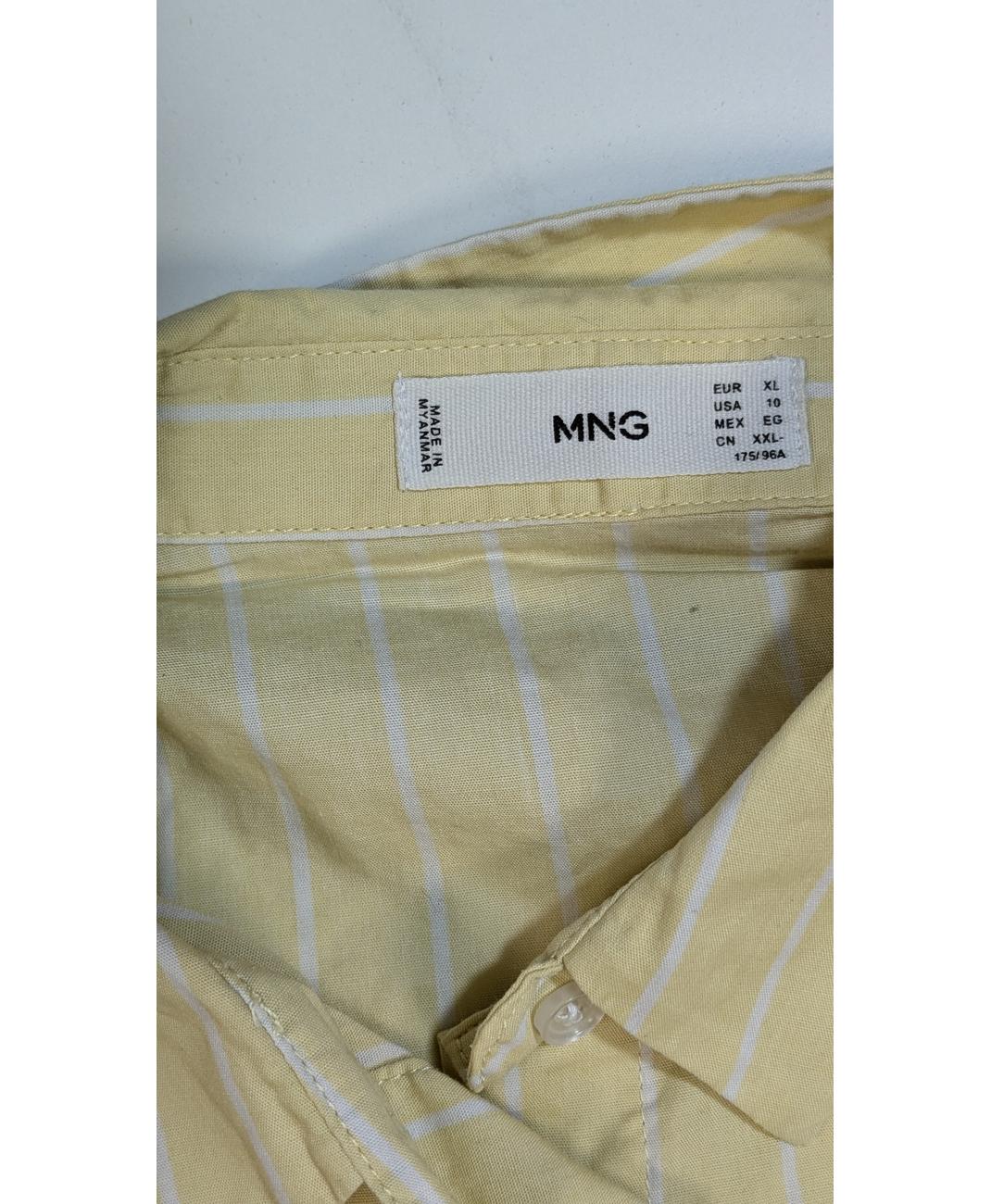 MANGO - Image 6