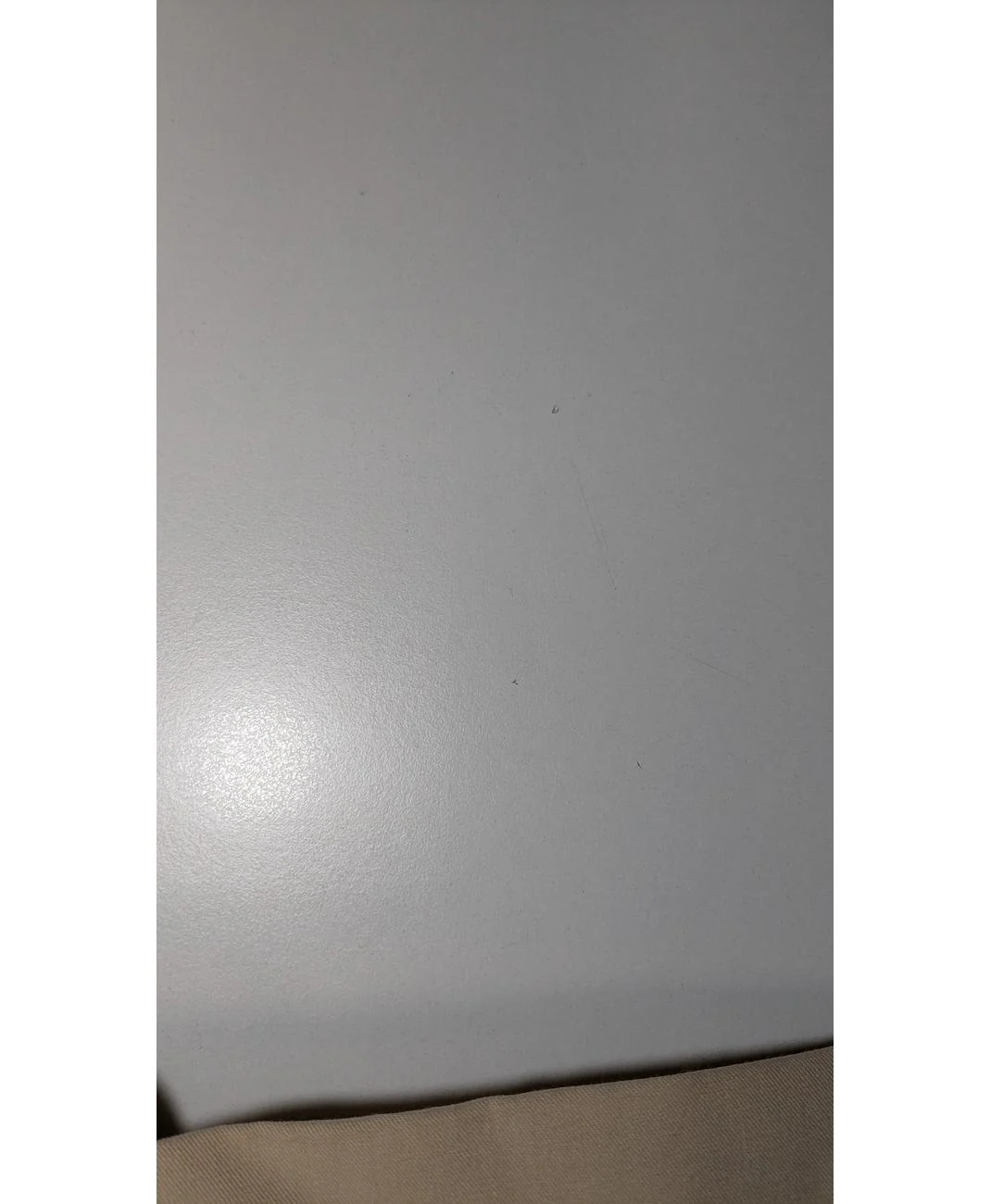 MANGO - Image 6
