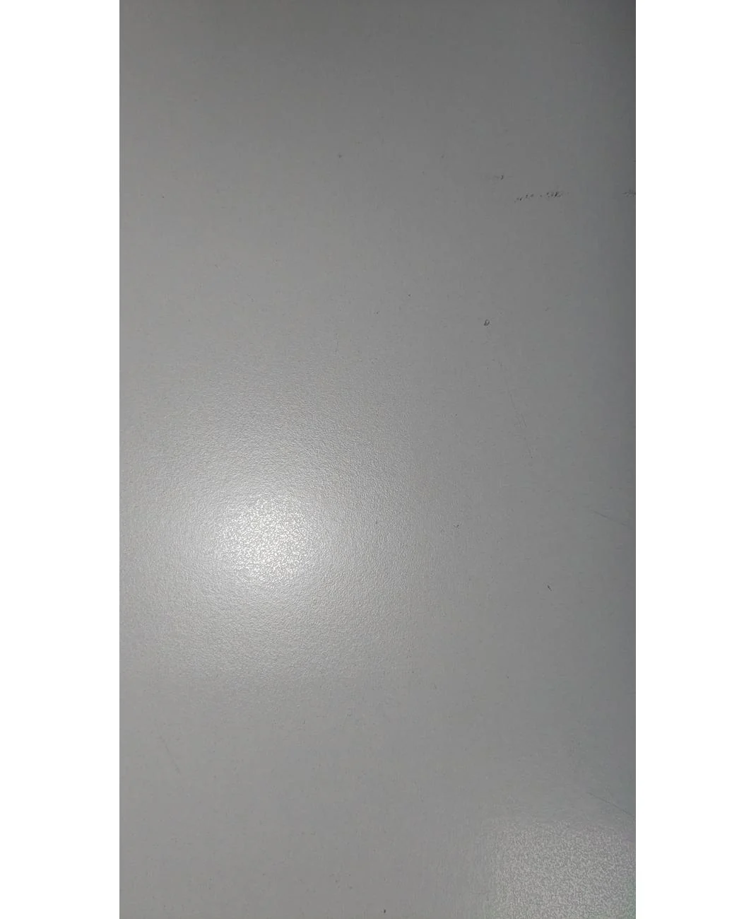 MANGO - Image 5